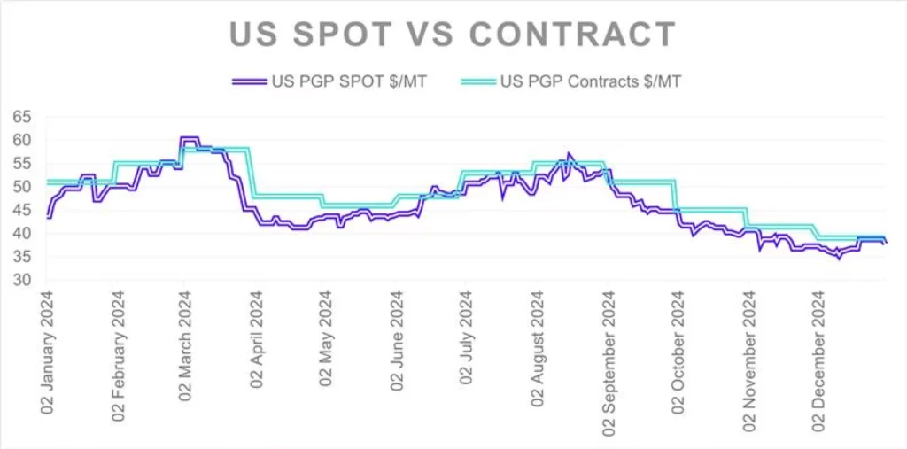 graph-us