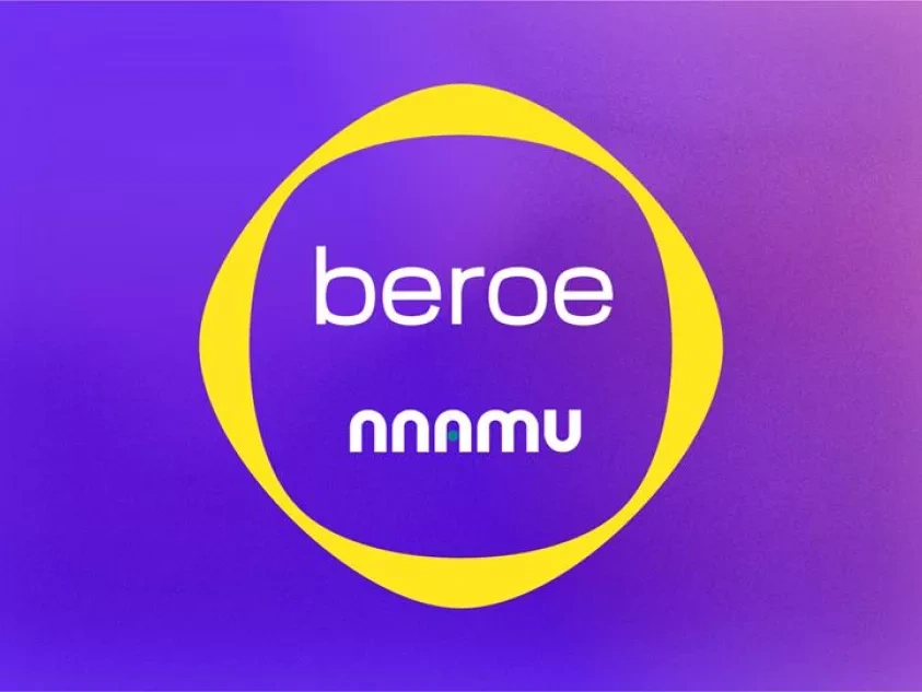 Beroe Nnamu LInkedin