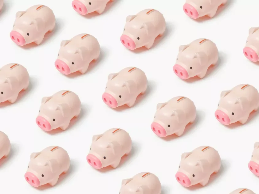 Beroe and nnamu – optimizing negotiations for optimal savings