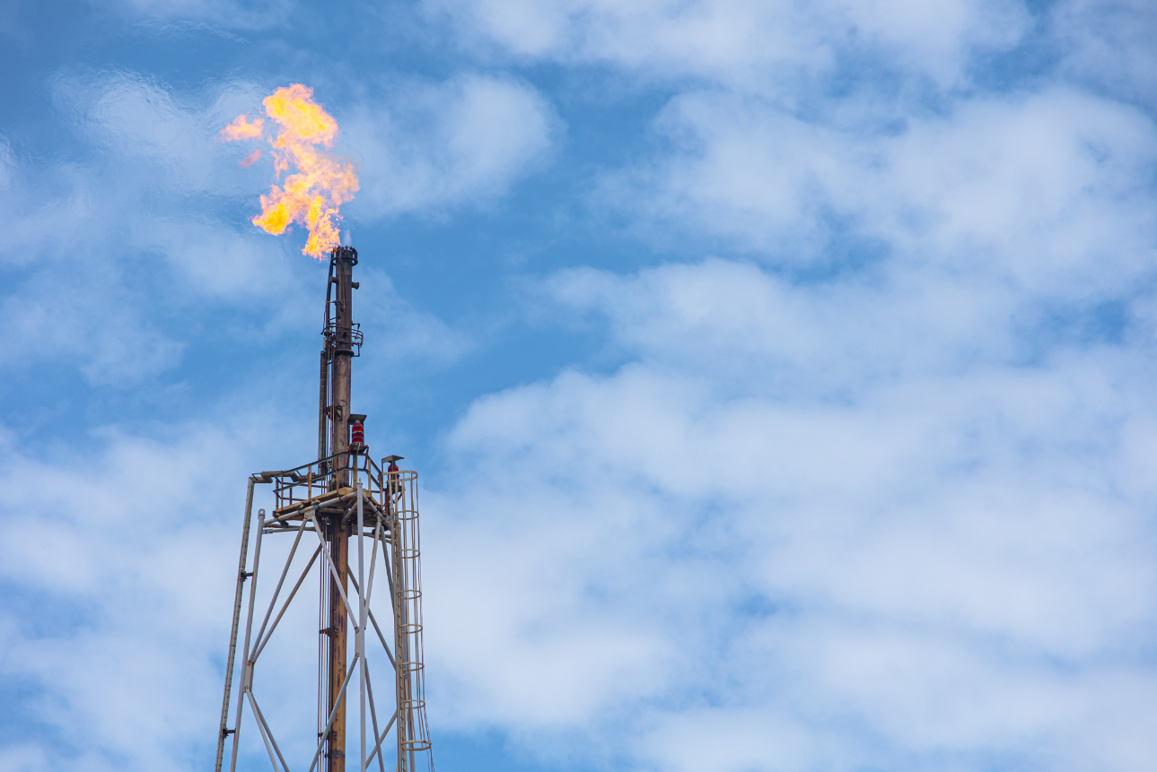 Managing volatility: Predictive Commodity Risk Management for Diesel and Gasoline