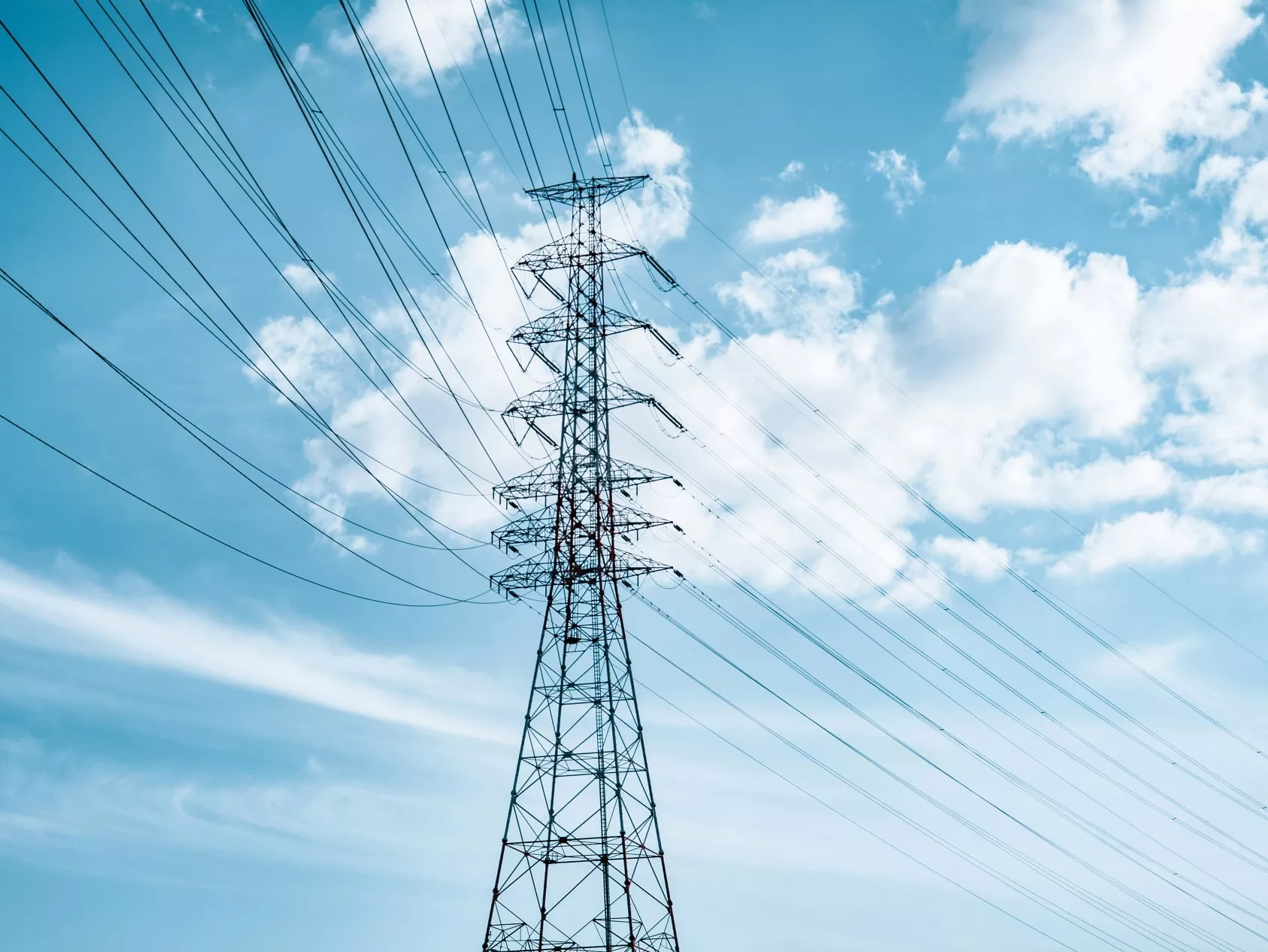 How can organizations mitigate electricity price volatility in renewable heavy grids