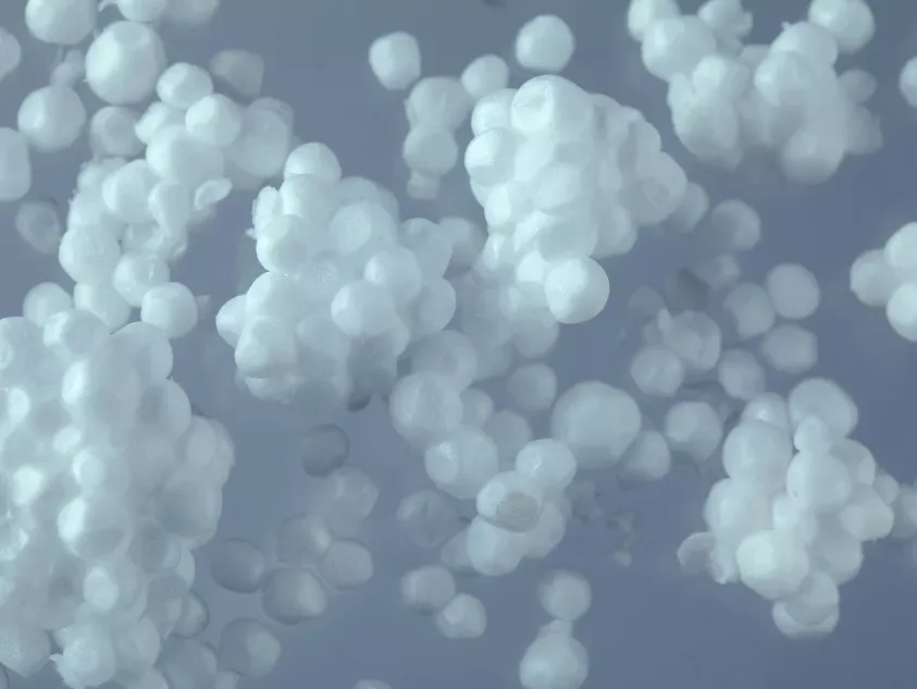 5 Ways Geopolitical Alerts Help Procurement Teams Navigate Benzene Market Volatility